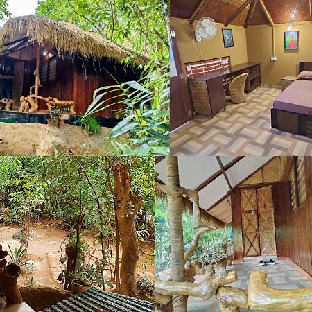 Koomankolly Resort Thirunelly المظهر الخارجي الصورة