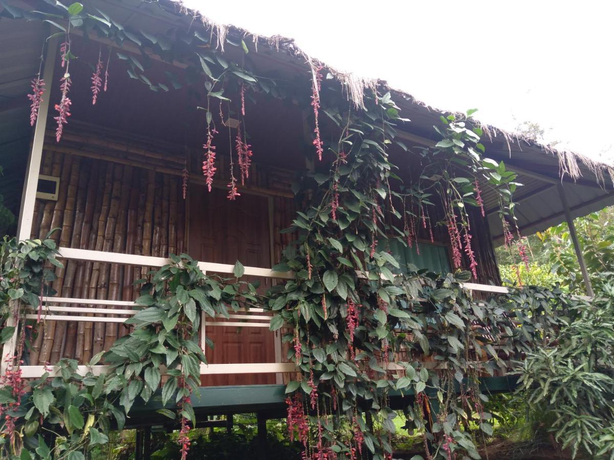 Koomankolly Resort Thirunelly المظهر الخارجي الصورة