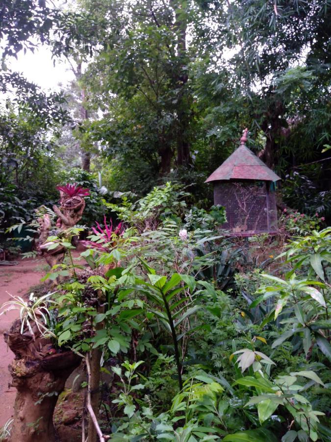 Koomankolly Resort Thirunelly المظهر الخارجي الصورة