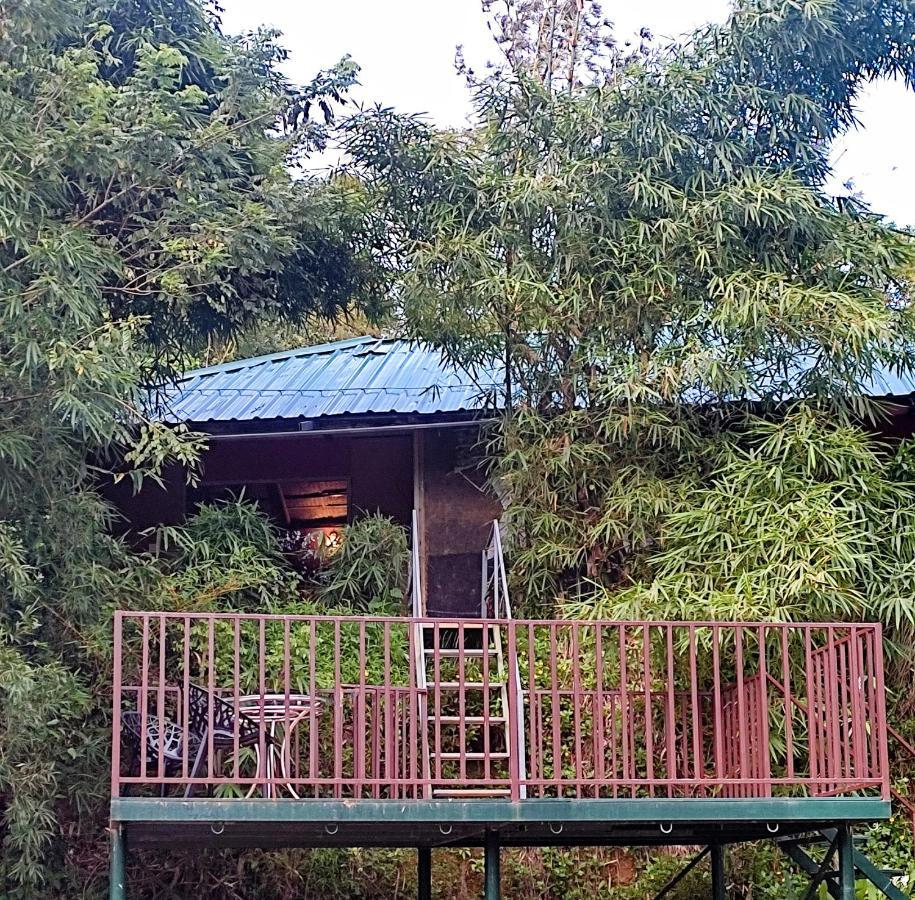 Koomankolly Resort Thirunelly المظهر الخارجي الصورة