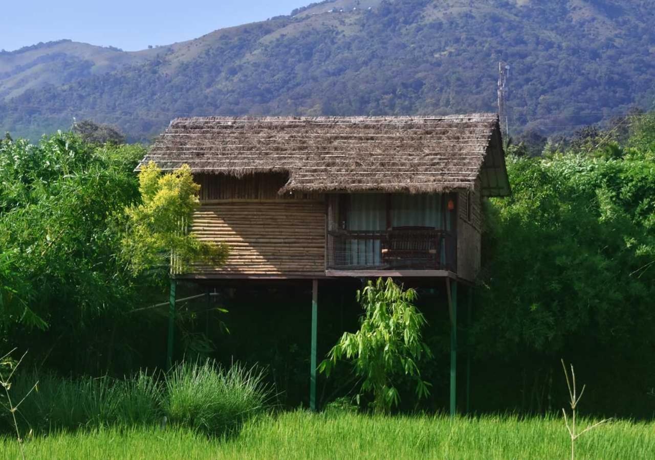 Koomankolly Resort Thirunelly المظهر الخارجي الصورة