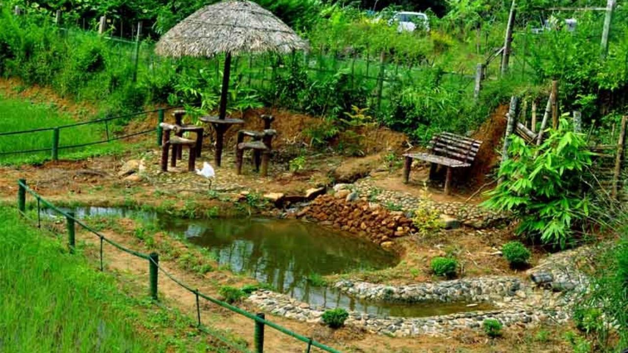 Koomankolly Resort Thirunelly المظهر الخارجي الصورة