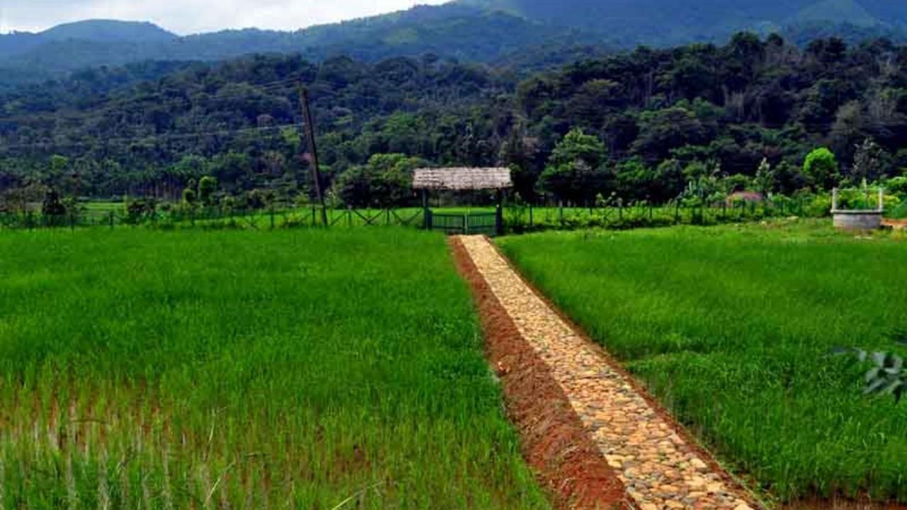 Koomankolly Resort Thirunelly المظهر الخارجي الصورة